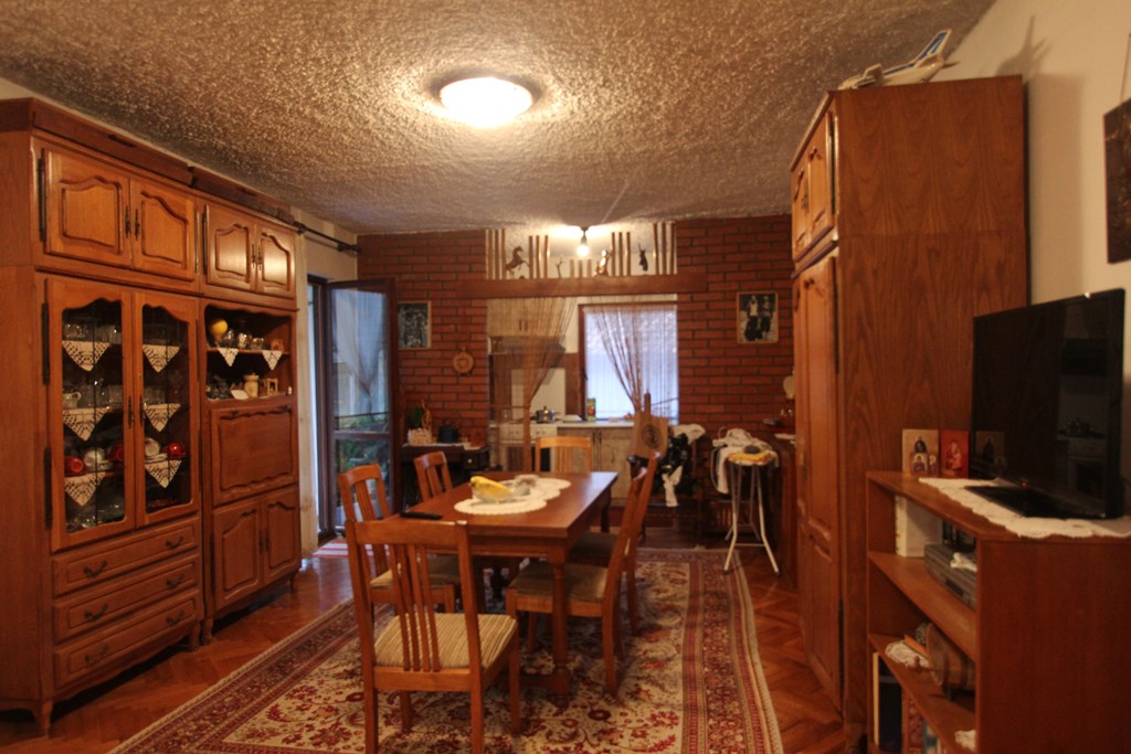 Mountain view house in Topla