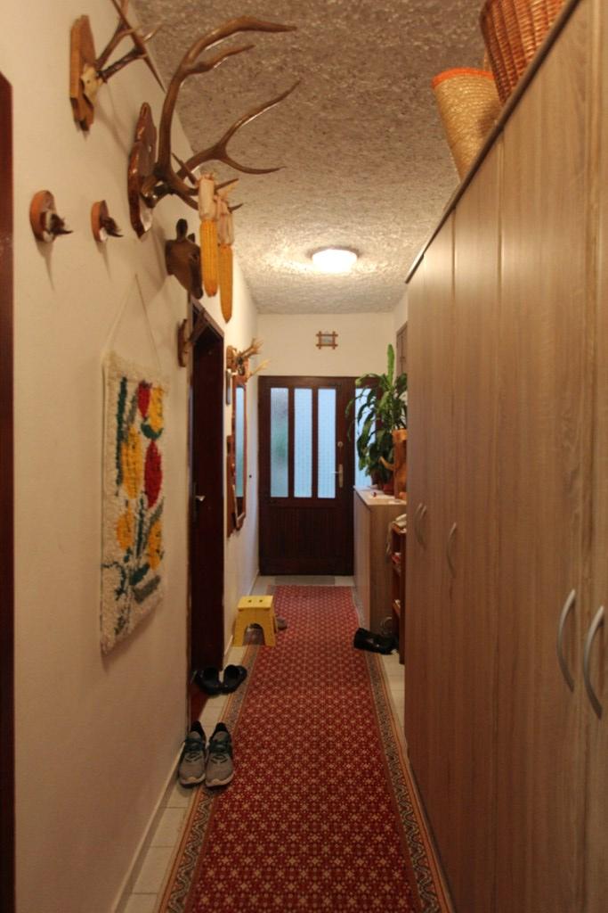 Mountain view house in Topla