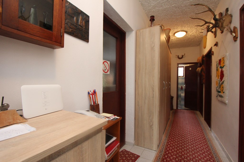 Mountain view house in Topla