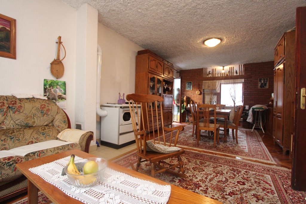 Mountain view house in Topla