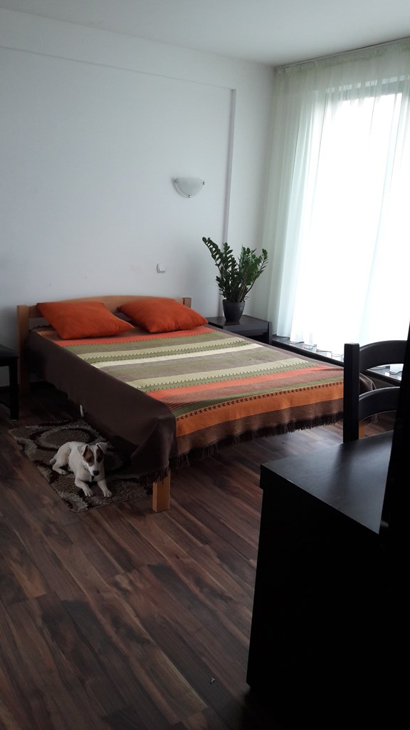 Two-storey house in Radanovici