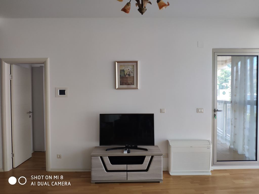 Luxurious apartment in Budva