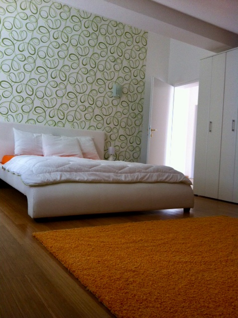 An airy penthouse in Djenovici