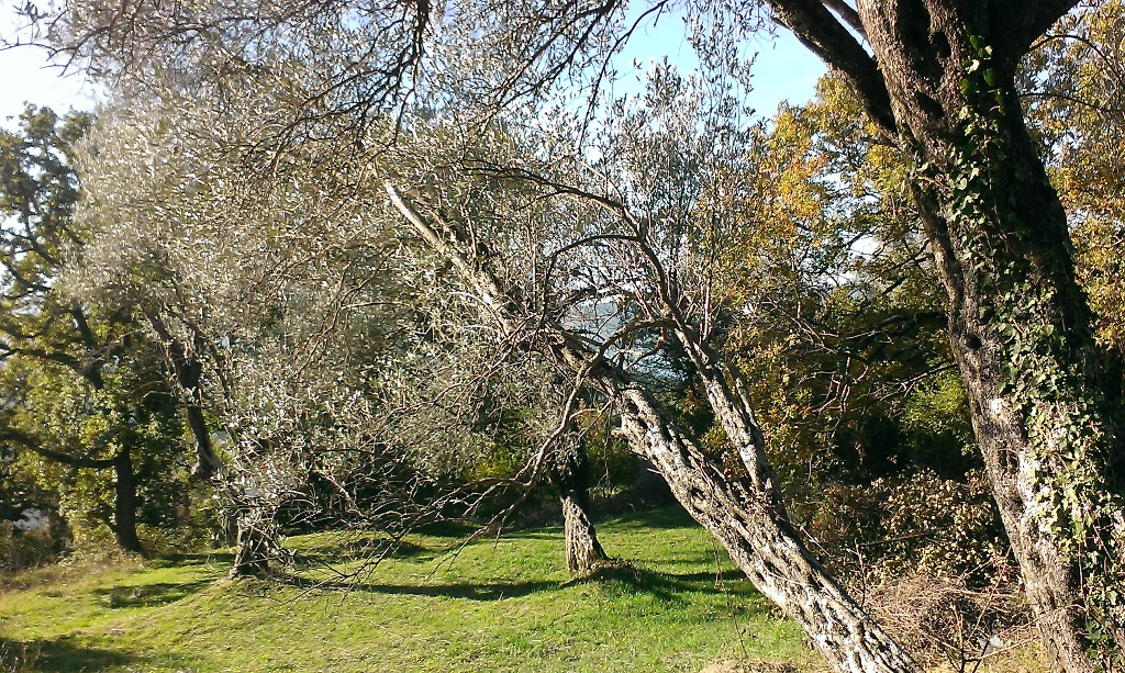 Land with view in Tivat