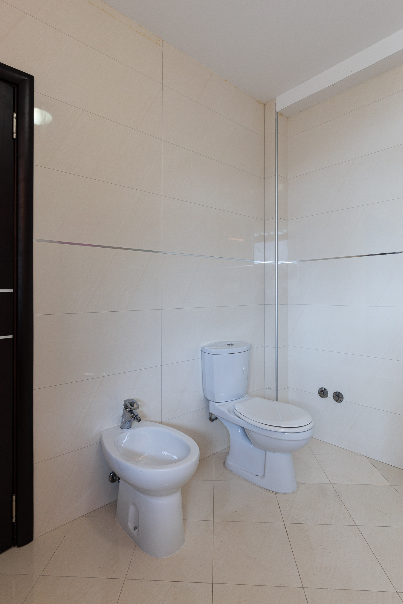 Luxurious villas in Bar