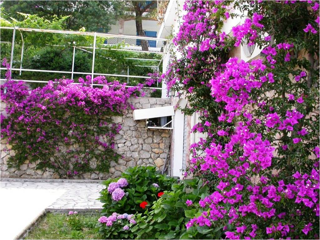 Three-storey house with pool in Lustica