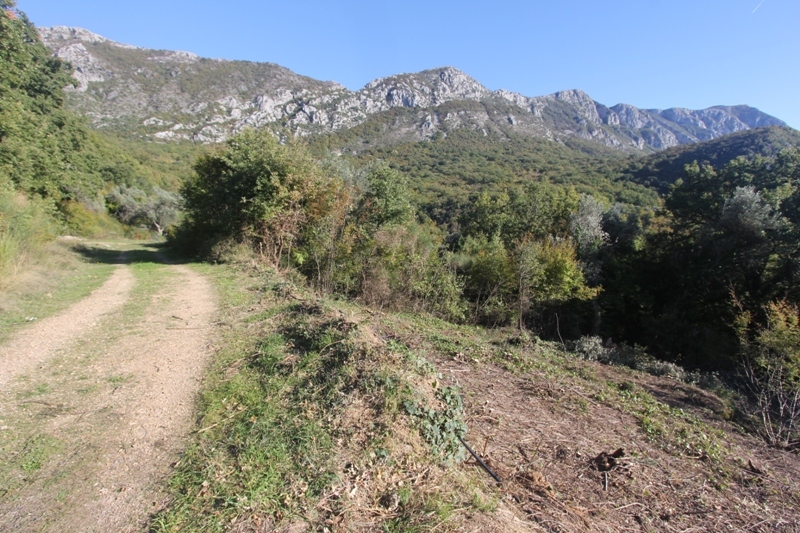 A plot with sea view in Budva