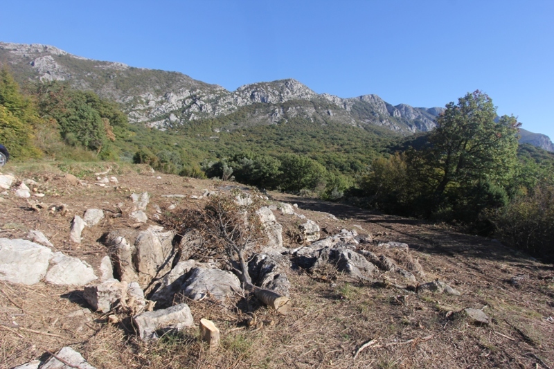 A plot with sea view in Budva