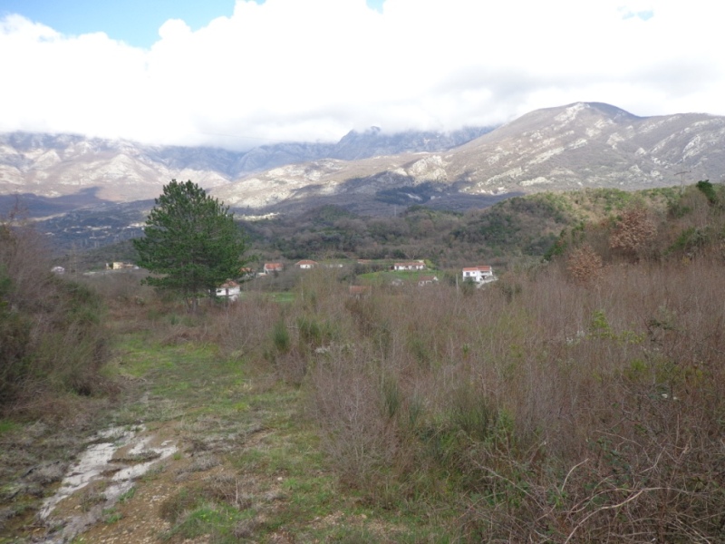 Urbanized Commercial Residential Plot Radanovici