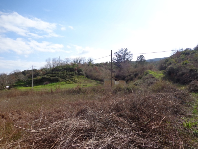 Urbanized Commercial Residential Plot Radanovici