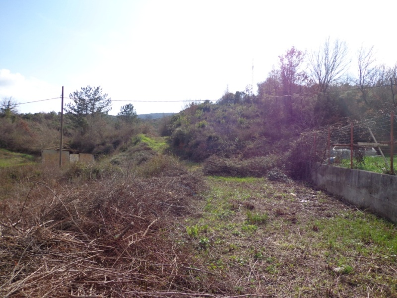 Urbanized Commercial Residential Plot Radanovici