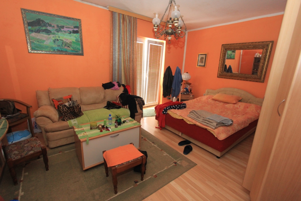 House with commercial property in Radanovici