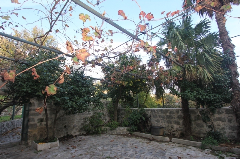 Two houses in Morinj with sea view