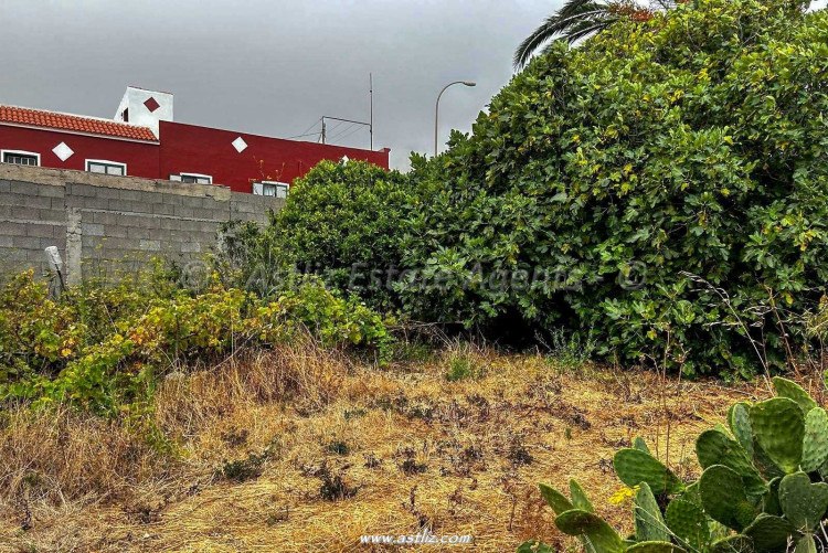 land in Buenavista Del Norte, El Palmar, Spain – AAEP1876