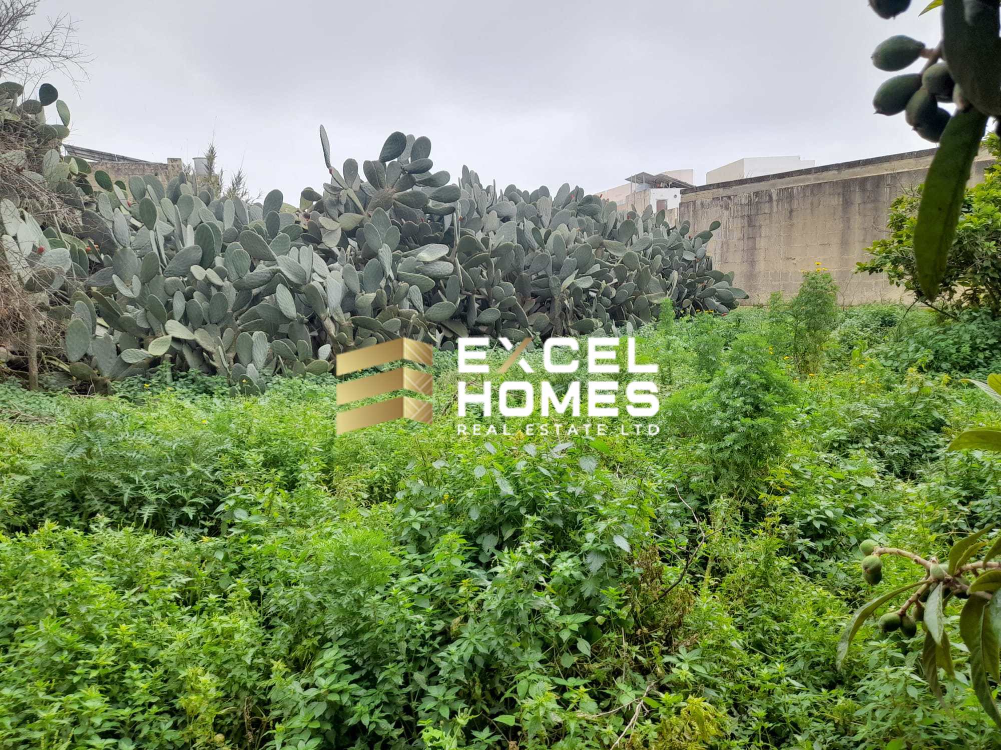 Farmhouse in Rabat (Victoria Gozo), Malta – 66365