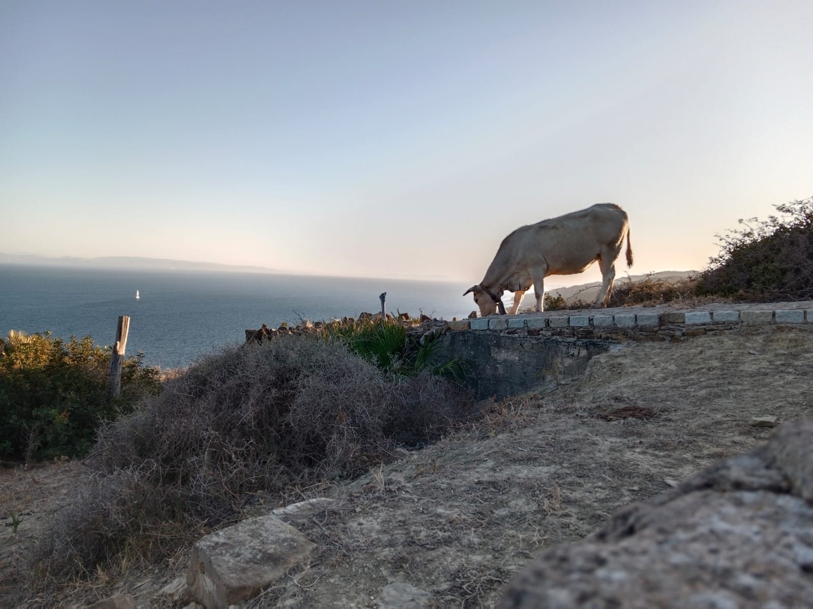 Plot in Tarifa, Cadiz, Spain – 428-05250P