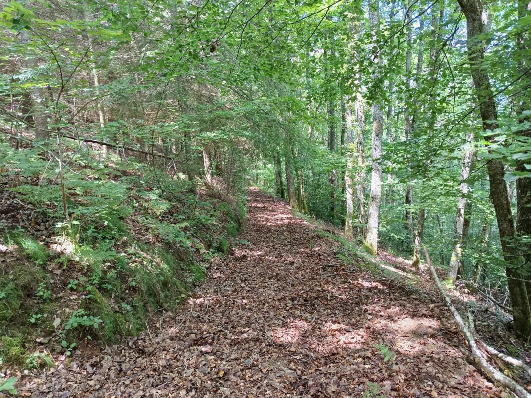 3 bedroom maison de campagne in Berlats, Tarn, France