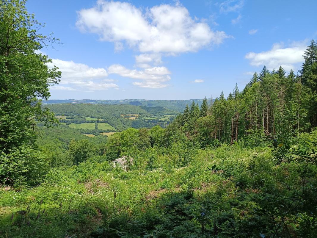 3 bedroom maison de campagne in Berlats, Tarn, France