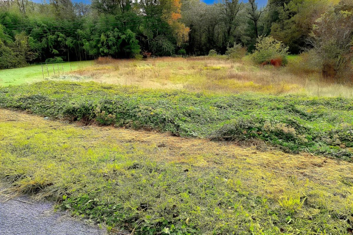 terrain in Lescure D’albigeois, Tarn, France