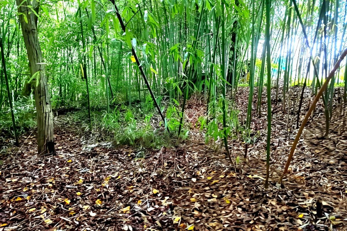 terrain in Lescure D’albigeois, Tarn, France