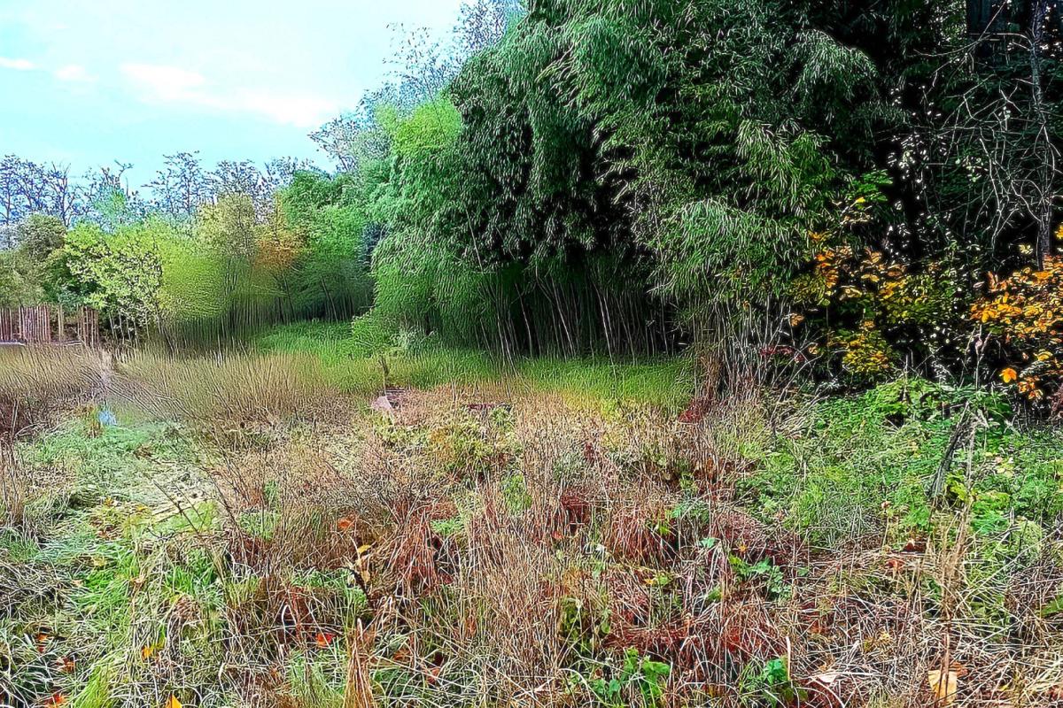 terrain in Lescure D’albigeois, Tarn, France