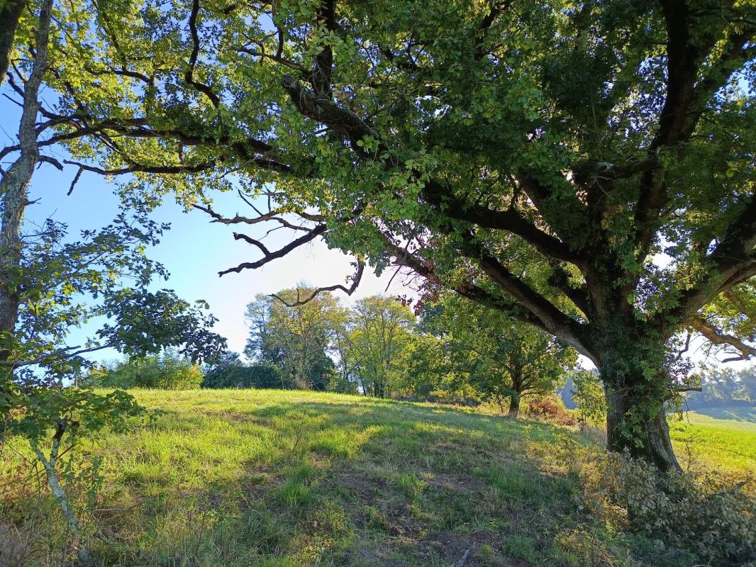 terrain agricole in Montdurausse, Tarn, France