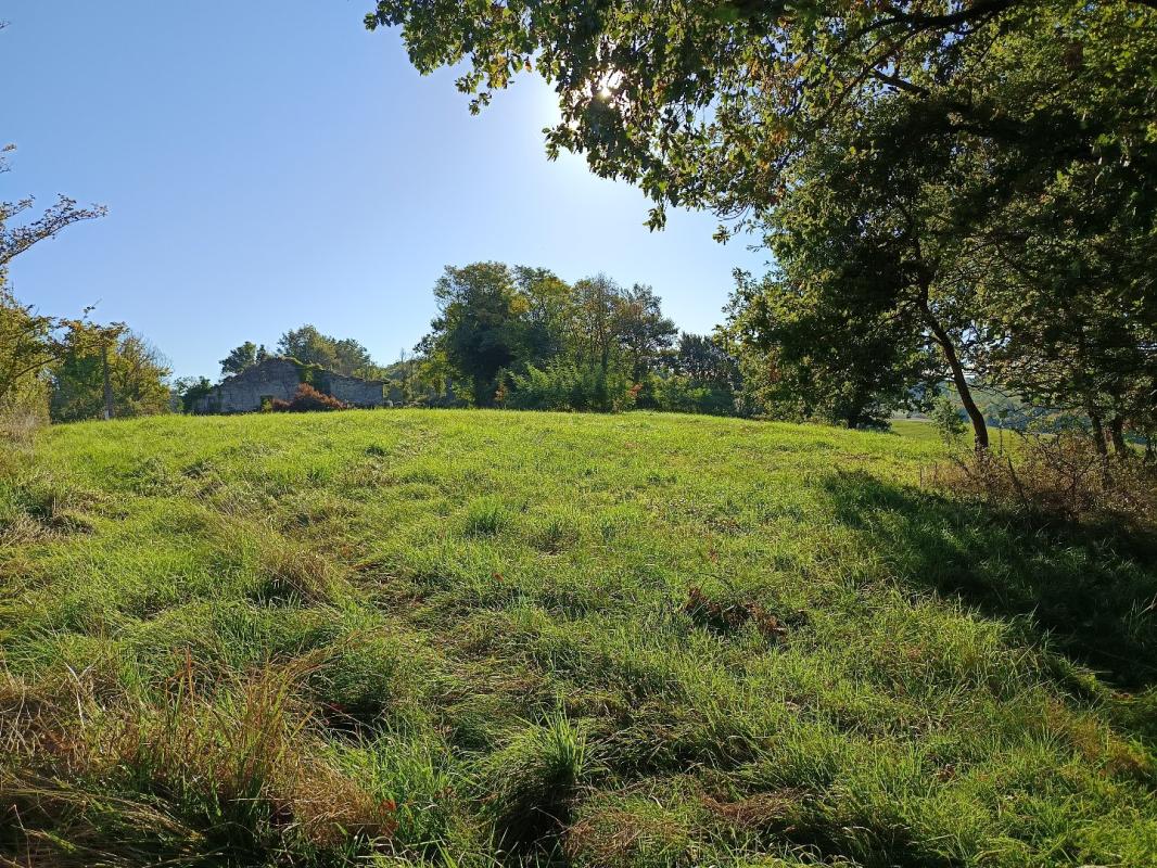 terrain agricole in Montdurausse, Tarn, France