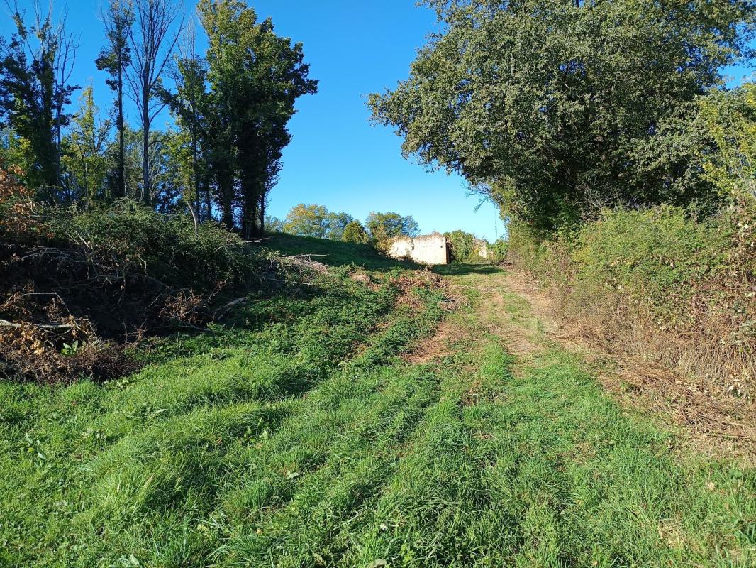 terrain agricole in Montdurausse, Tarn, France