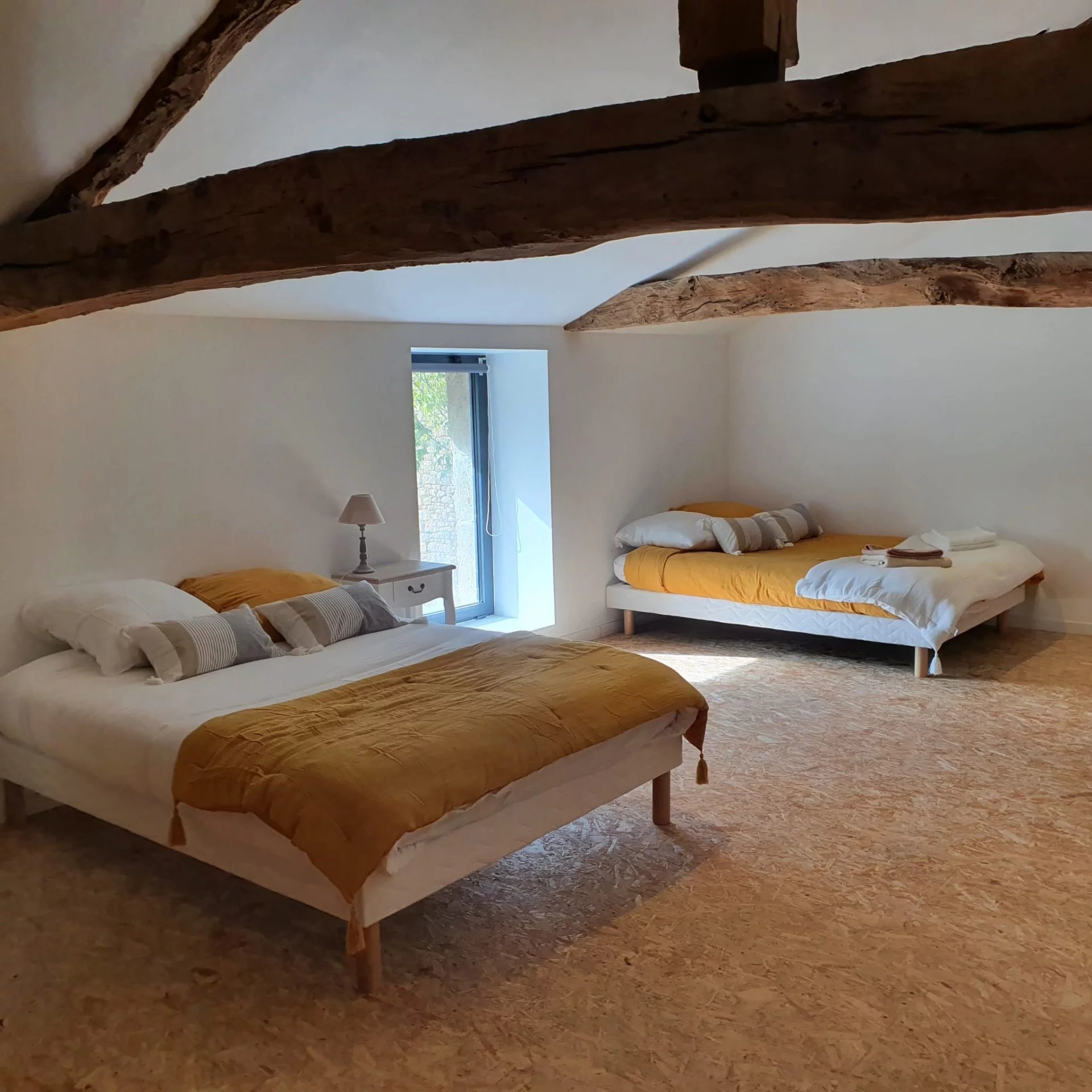 Prestigious Equestrian Estate between Toulouse, Bordeaux and Agen, Aquitaine – France – BVI68906