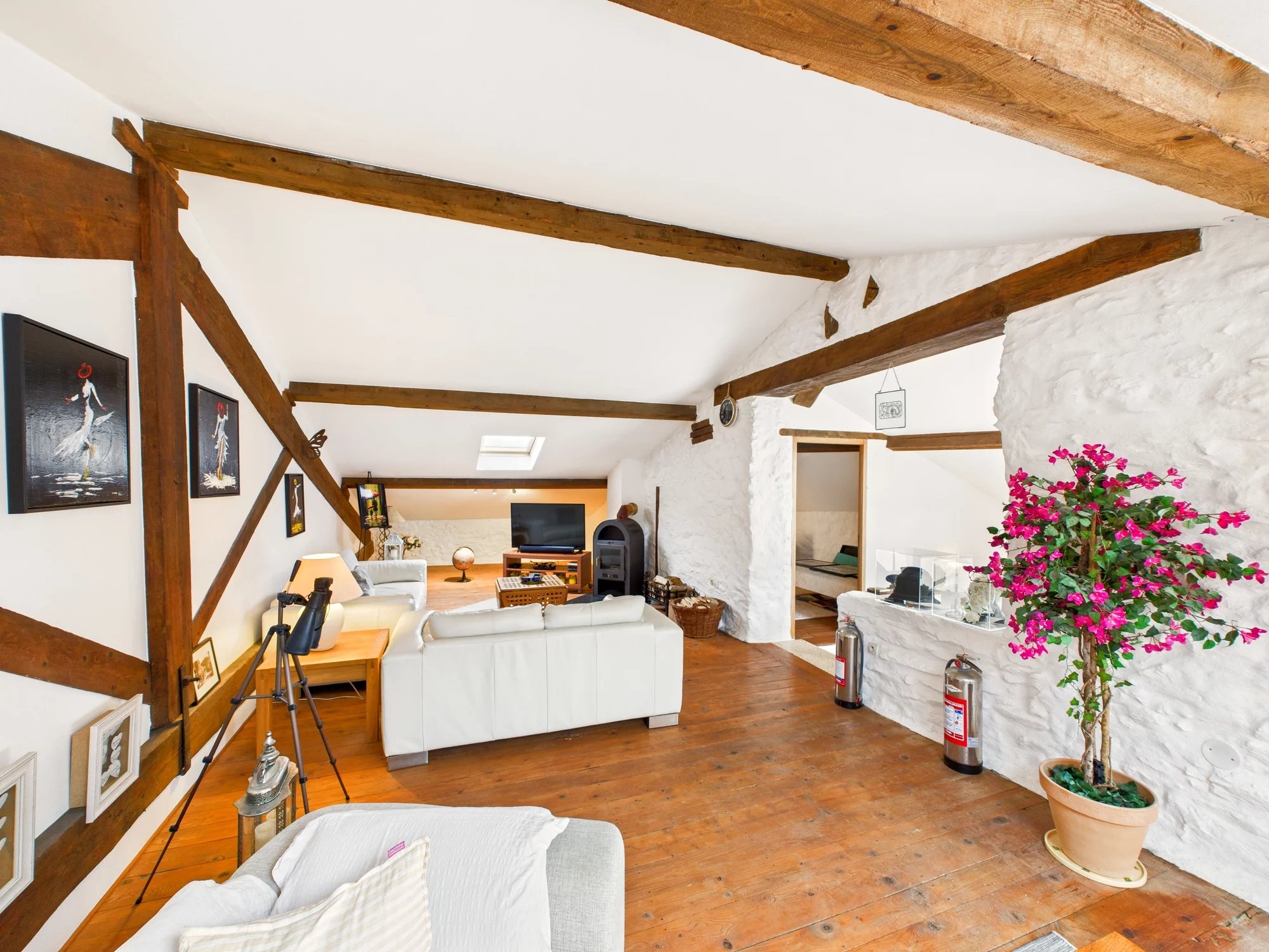 Stone, architecturally beautiful home, Languedoc-Roussillon – France – BVI84433