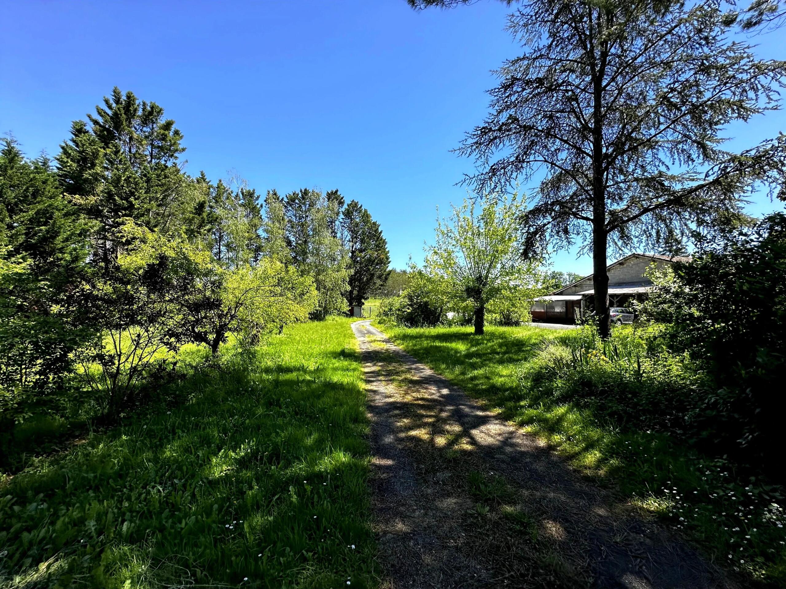 Countryside Farmhouse with Outbuildings and Over 1 Hectare of Land, Aquitaine – France – BVI78382