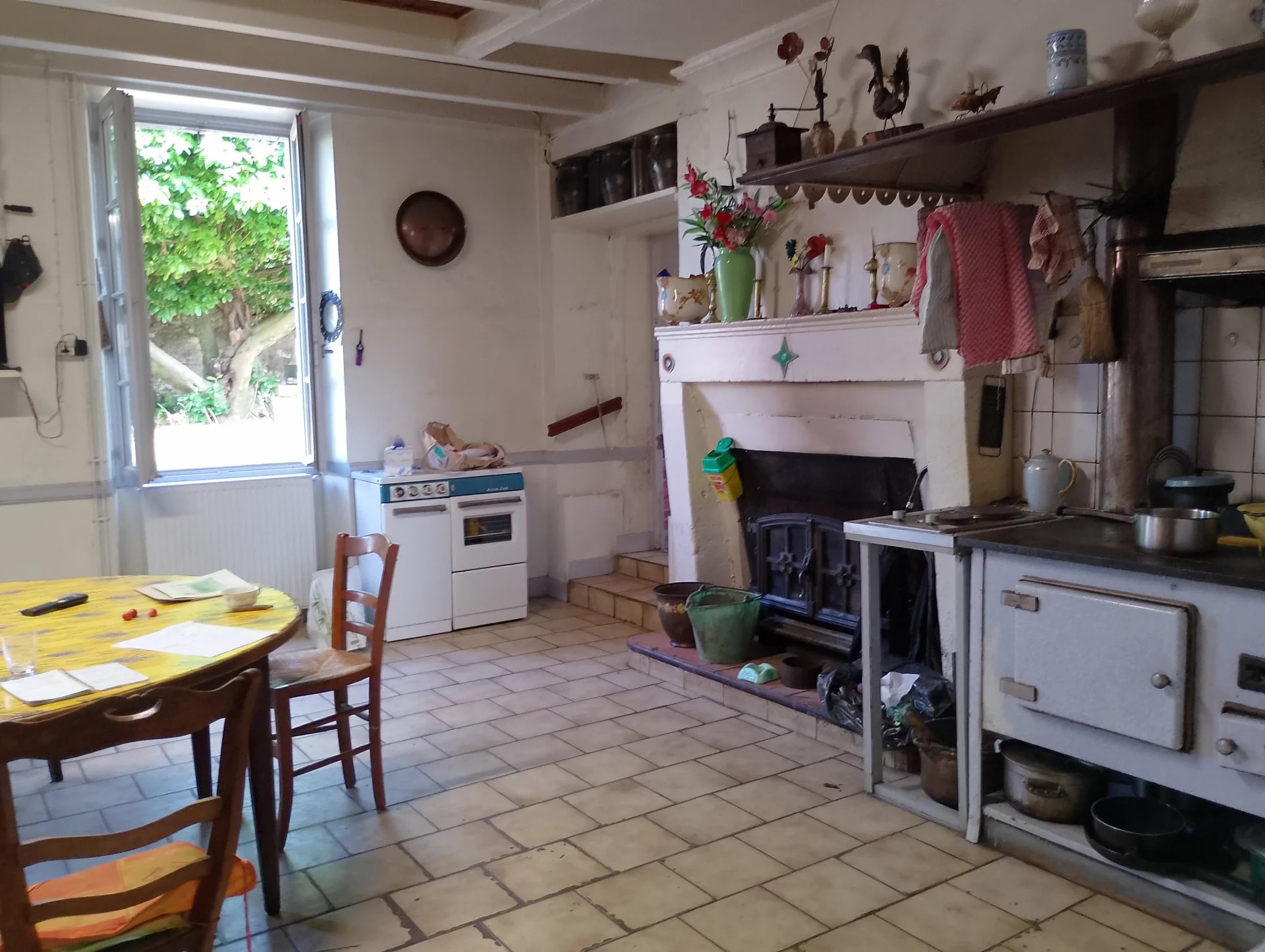 Between Bordeaux and Cognac-Angouleme, Poitou-Charentes – France – BVI82076