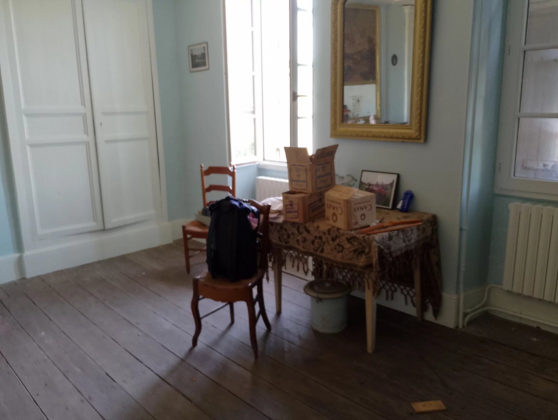 Between Bordeaux and Cognac-Angouleme, Poitou-Charentes – France – BVI82076