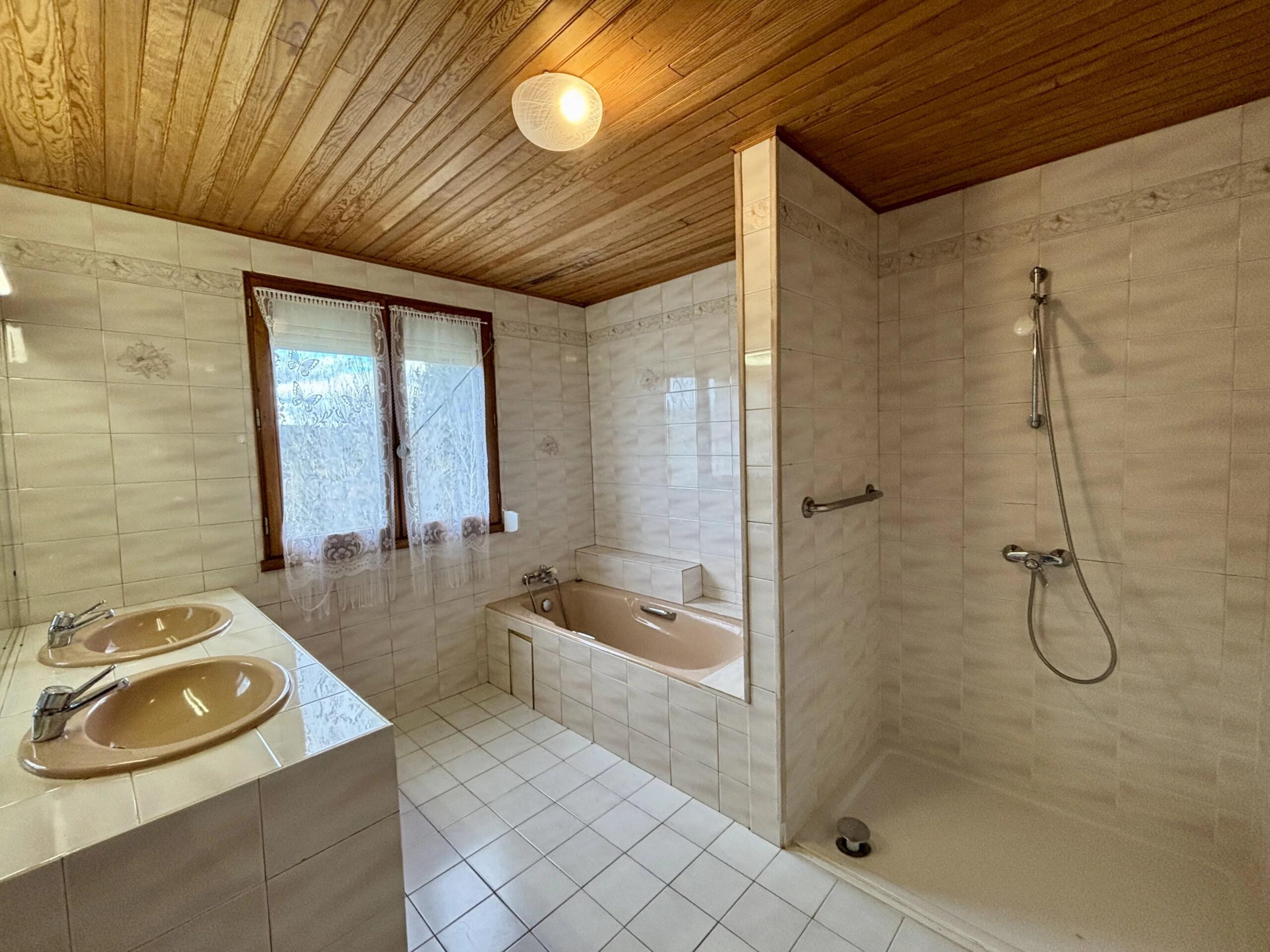 Charming village house on 5000 m2 in quiet setting, Languedoc-Roussillon – France – BVI84400