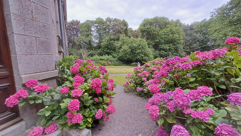 This distinguished 19th-century château, presently operated as a family residence, offers exceptional scope for developing a prestigious events venue (weddings, receptions, corporate seminars) alongside refined hospitality or tourism activities