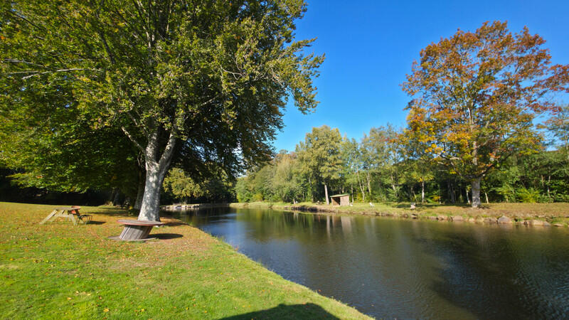 A rare opportunity for an ambitious entrepreneur, a fishing enthusiast, or an active retiree looking to combine quality of life with a profitable leisure activity