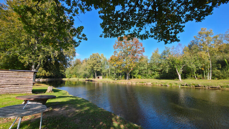 A rare opportunity for an ambitious entrepreneur, a fishing enthusiast, or an active retiree looking to combine quality of life with a profitable leisure activity