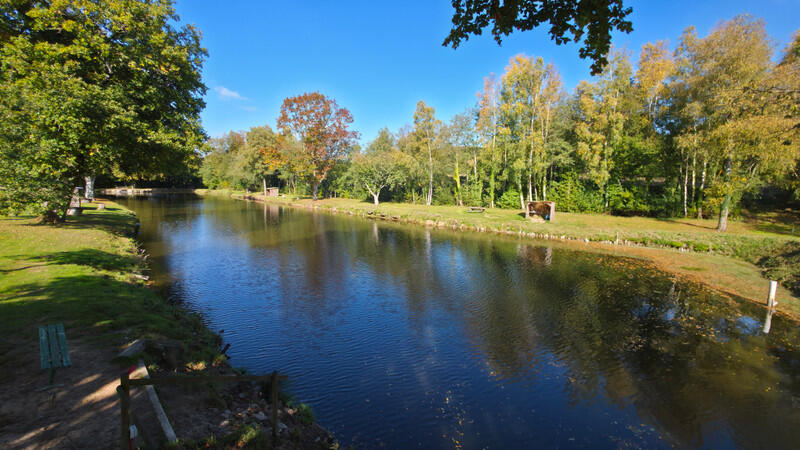 A rare opportunity for an ambitious entrepreneur, a fishing enthusiast, or an active retiree looking to combine quality of life with a profitable leisure activity