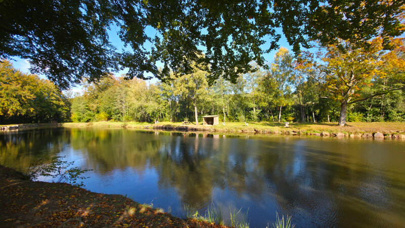 A rare opportunity for an ambitious entrepreneur, a fishing enthusiast, or an active retiree looking to combine quality of life with a profitable leisure activity