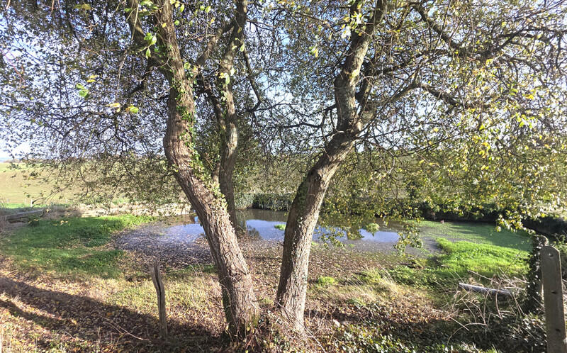 Ideally located just 4 km from town, in the heart of a peaceful setting and a welcoming community, this rural family property offers a privileged lifestyle and excellent renovation potential