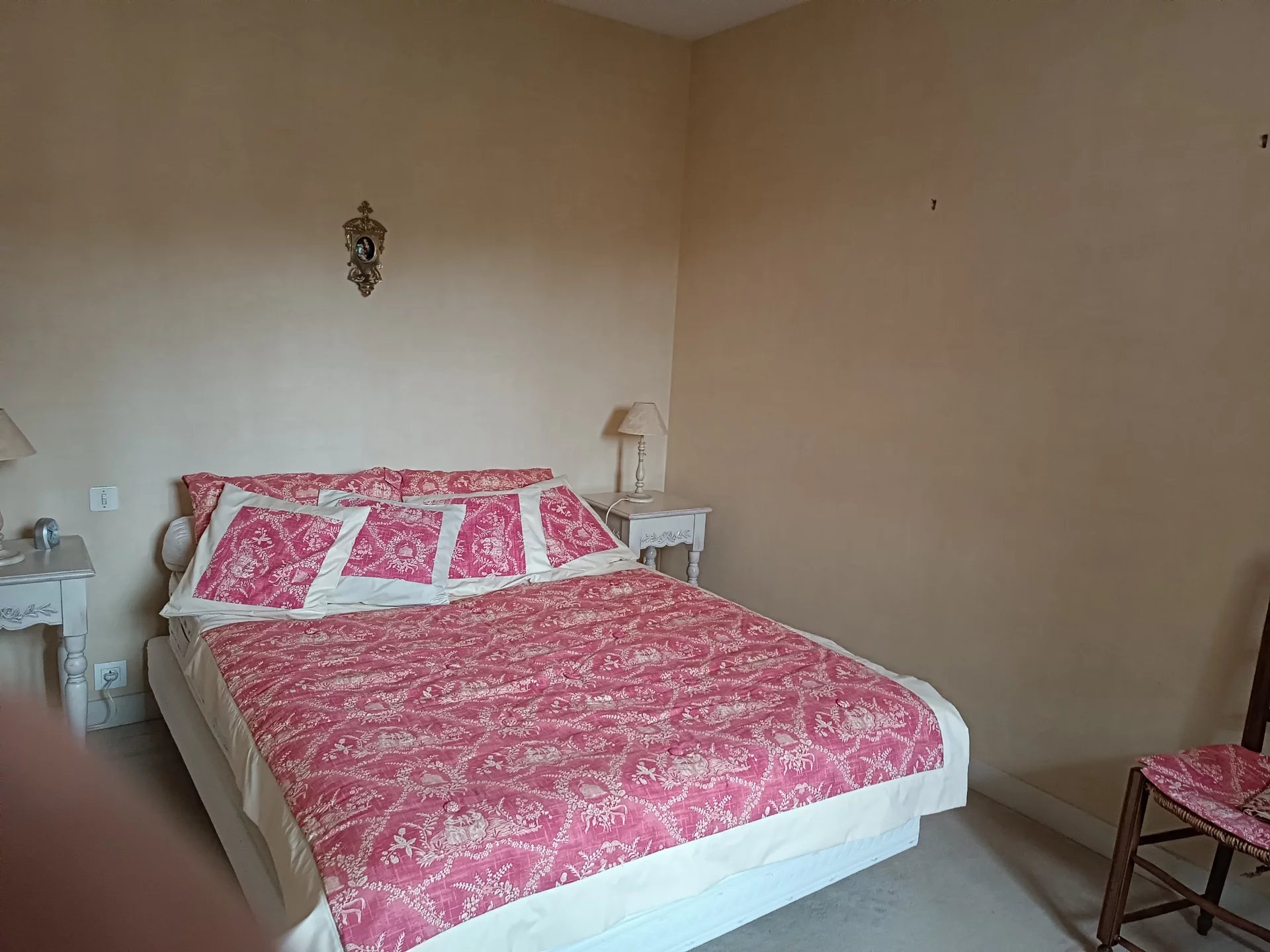 Character house, 225 m² – Wooded grounds, 3,000 m², near Montmorillon, Poitou-Charentes – France – BVI70574