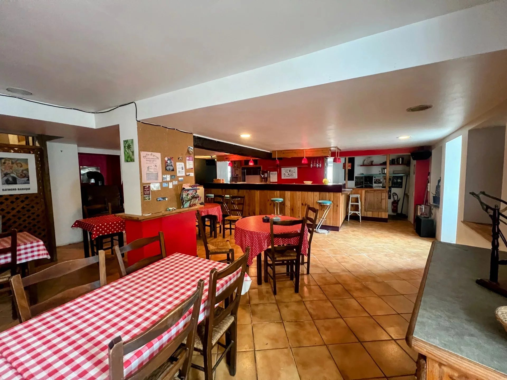 Saint Colombe sur l’Hers – Endless Potential in a Unique, Character-Filled Property, Languedoc-Roussillon – France – BVI84493