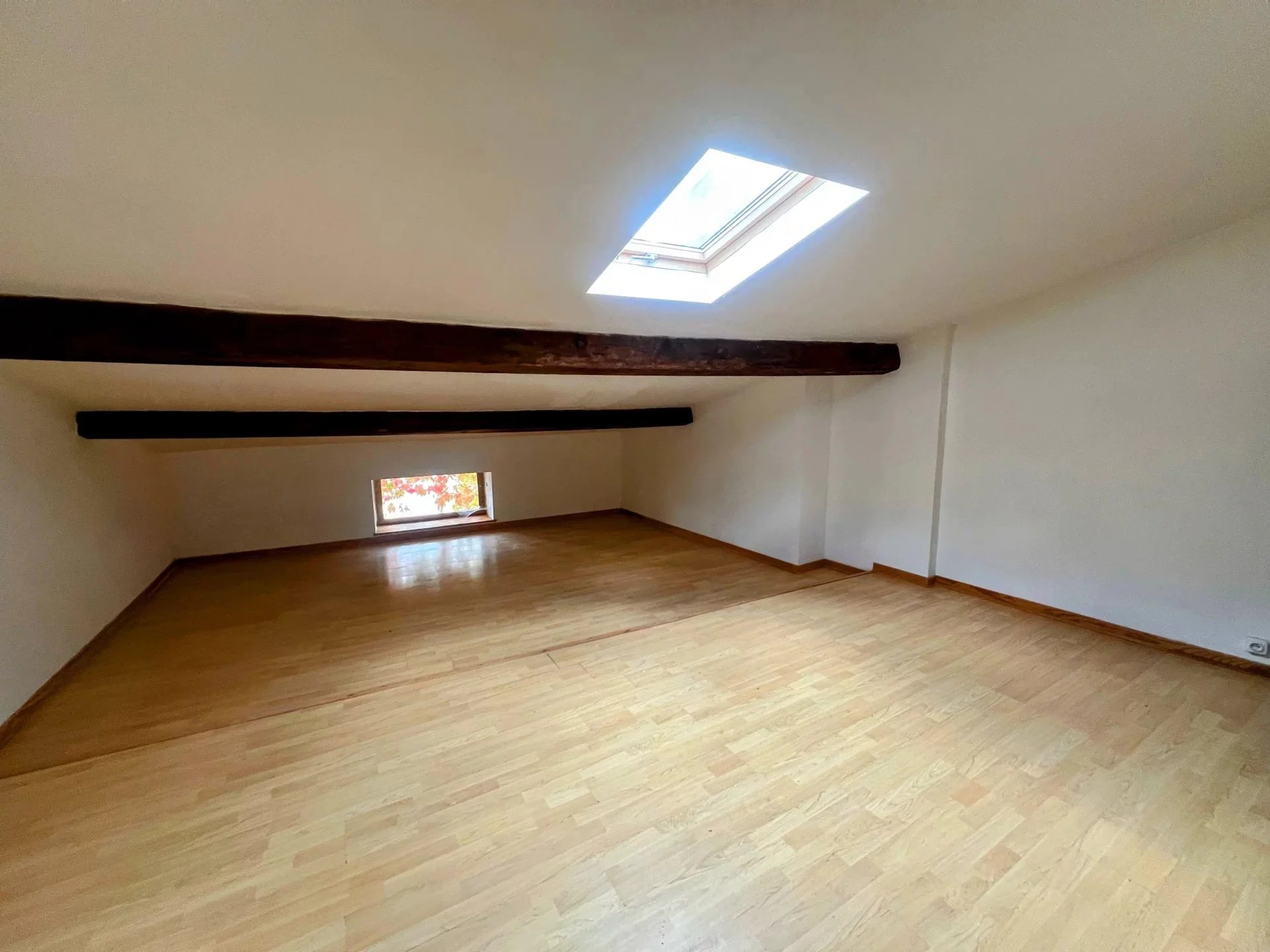 Saint Colombe sur l’Hers – Endless Potential in a Unique, Character-Filled Property, Languedoc-Roussillon – France – BVI84493