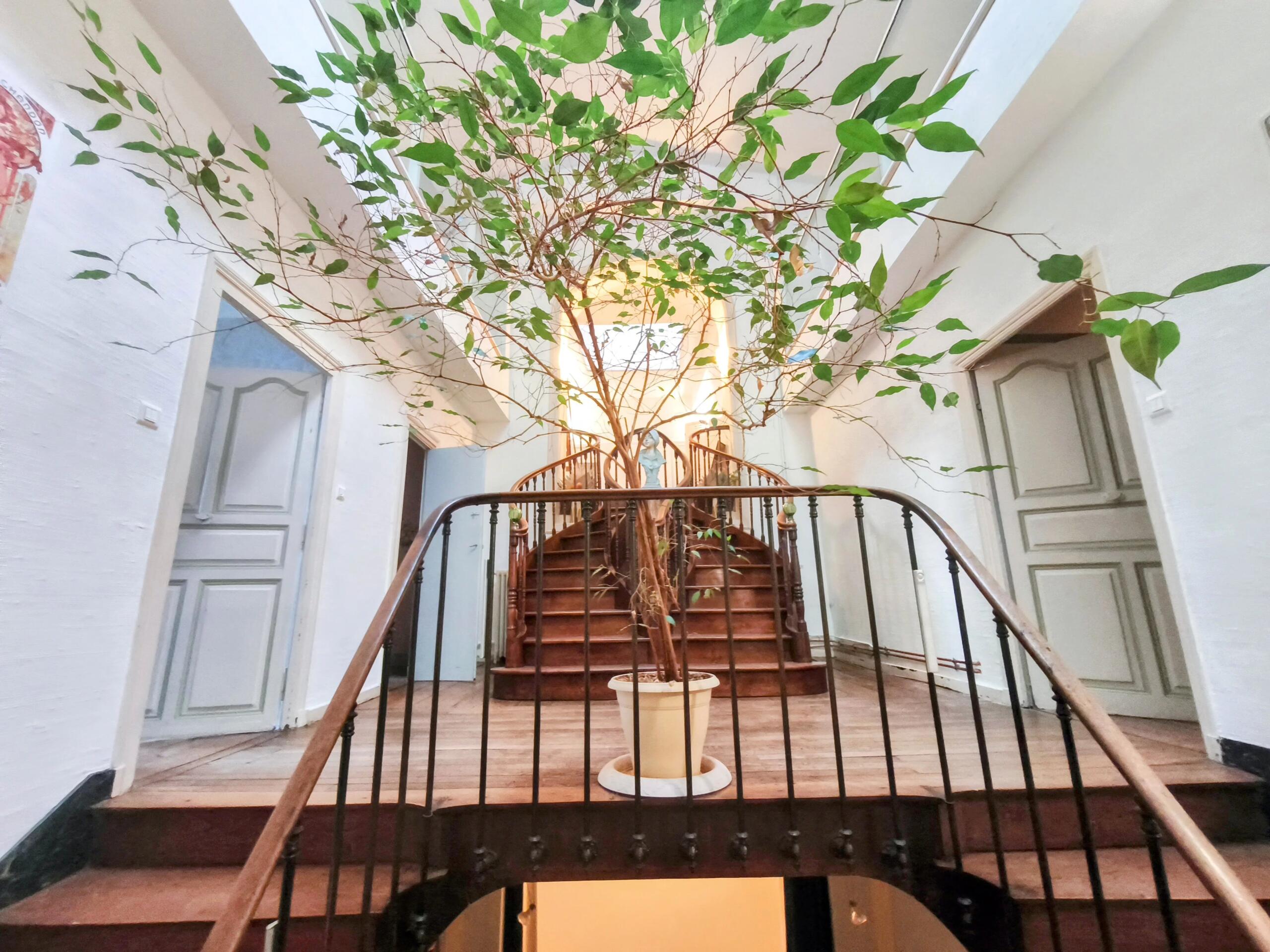 Saint-Maixent-l’École — A Rare Historic Residence in the Heart of the Town, Poitou-Charentes – France – BVI84393