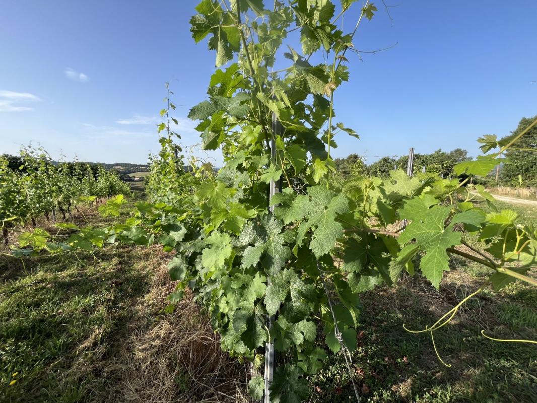 terrain in Puy D’arnac, Corrèze, France