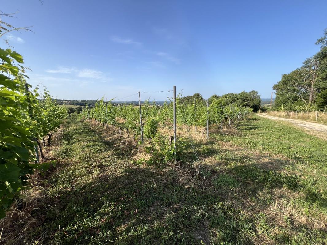 terrain in Puy D’arnac, Corrèze, France