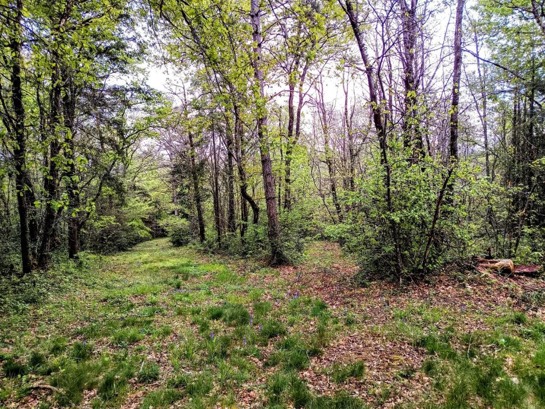 4 bedroom propriete in Puycalvel, Tarn, France