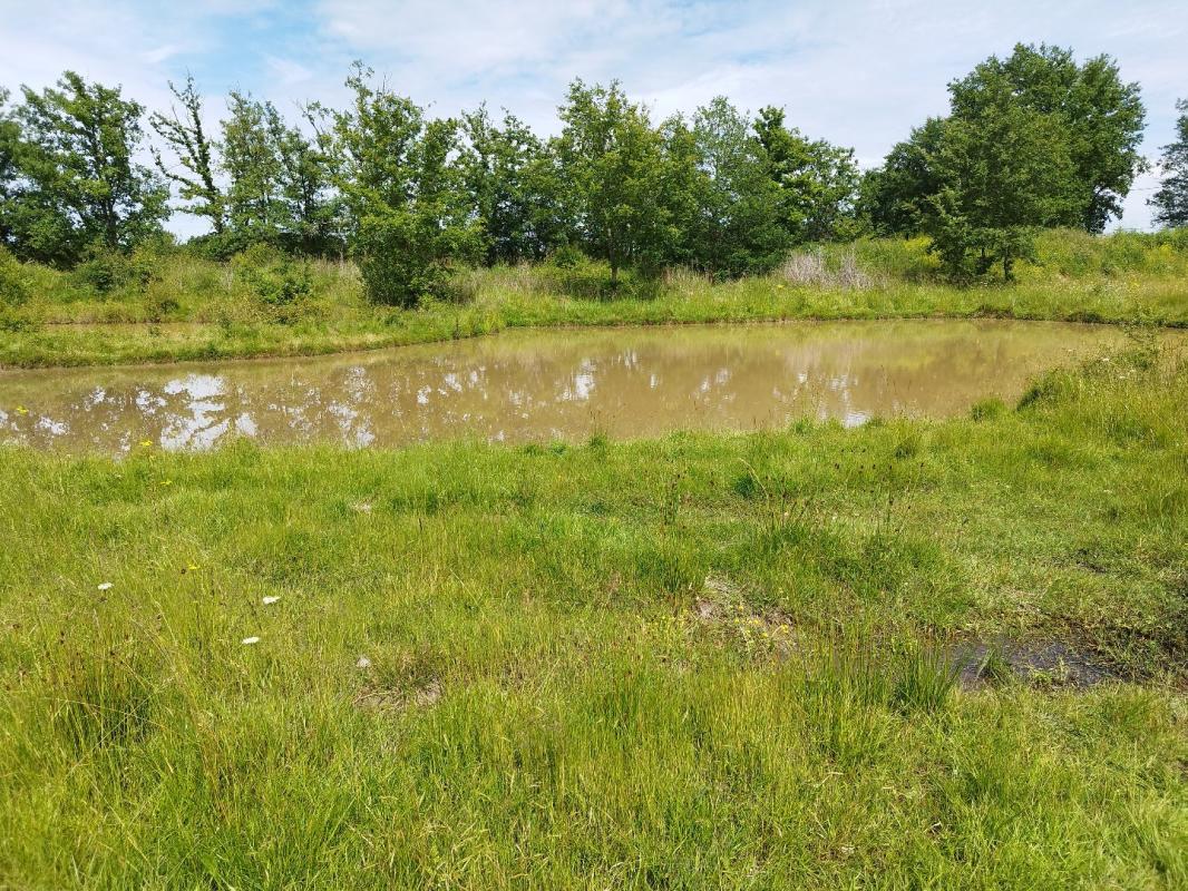 6 bedroom propriete in Montauban, Tarn-et-Garonne, France