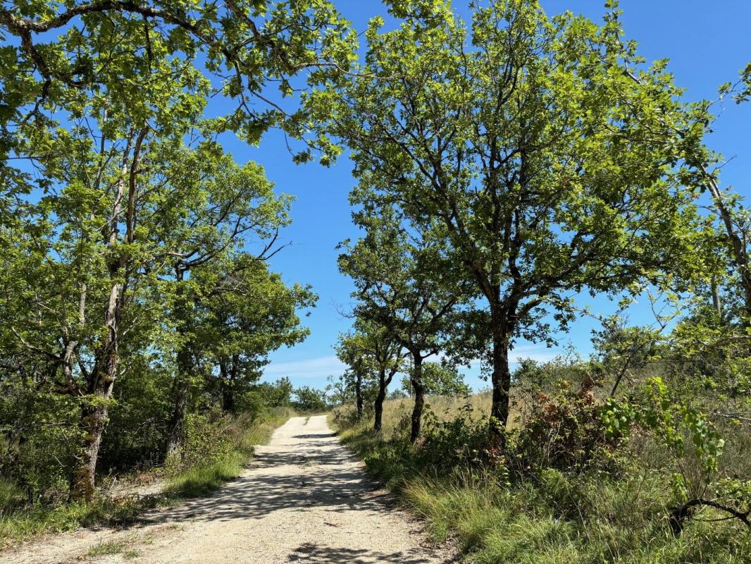 5 bedroom propriete in Saint Pantaleon, Lot, France