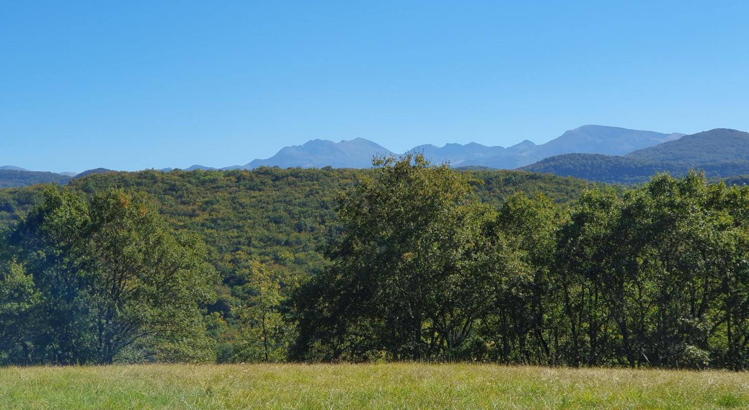 11 bedroom maison situee en campagne in Ventenac, Ariège, France